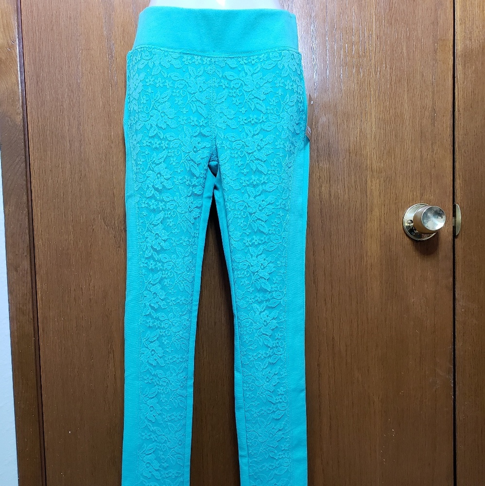 C'est Toi Seafoam Green Flower Embroidered Pants